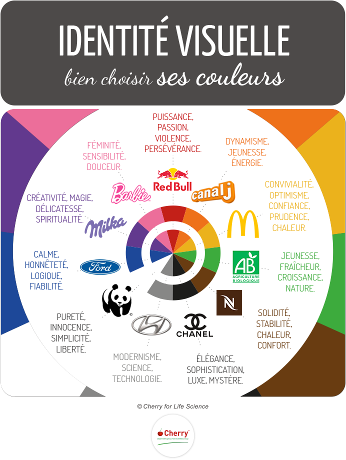 Infographie identite visuelle